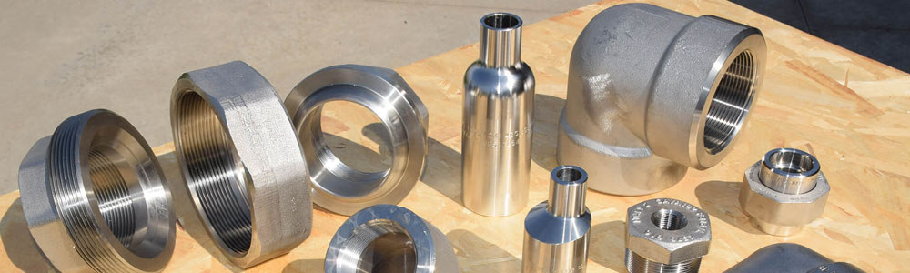 Stainless Steel 446 Forged Fittings